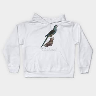 La Perruche Ingambe Parakeet - Jacques Barraband 19th century Illustration Kids Hoodie